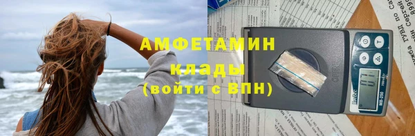 ПСИЛОЦИБИНОВЫЕ ГРИБЫ Абаза