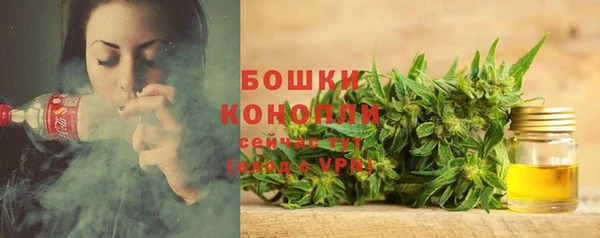 ПСИЛОЦИБИНОВЫЕ ГРИБЫ Абаза