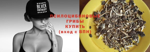 МДПВ Абинск