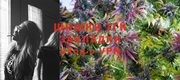 ПСИЛОЦИБИНОВЫЕ ГРИБЫ Абаза