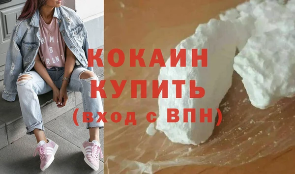 ПСИЛОЦИБИНОВЫЕ ГРИБЫ Абаза