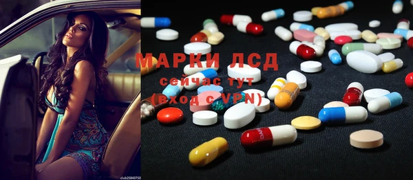 ПСИЛОЦИБИНОВЫЕ ГРИБЫ Абаза