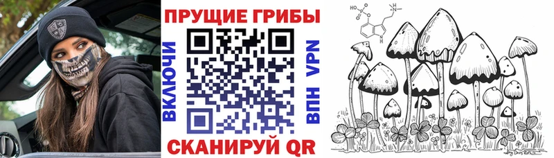 Псилоцибиновые грибы MAGIC MUSHROOMS Дальнереченск